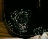 20061124-26_panther_front_fragment_700.jpg